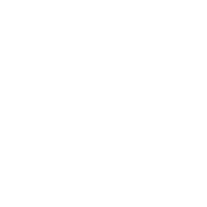 Armedic